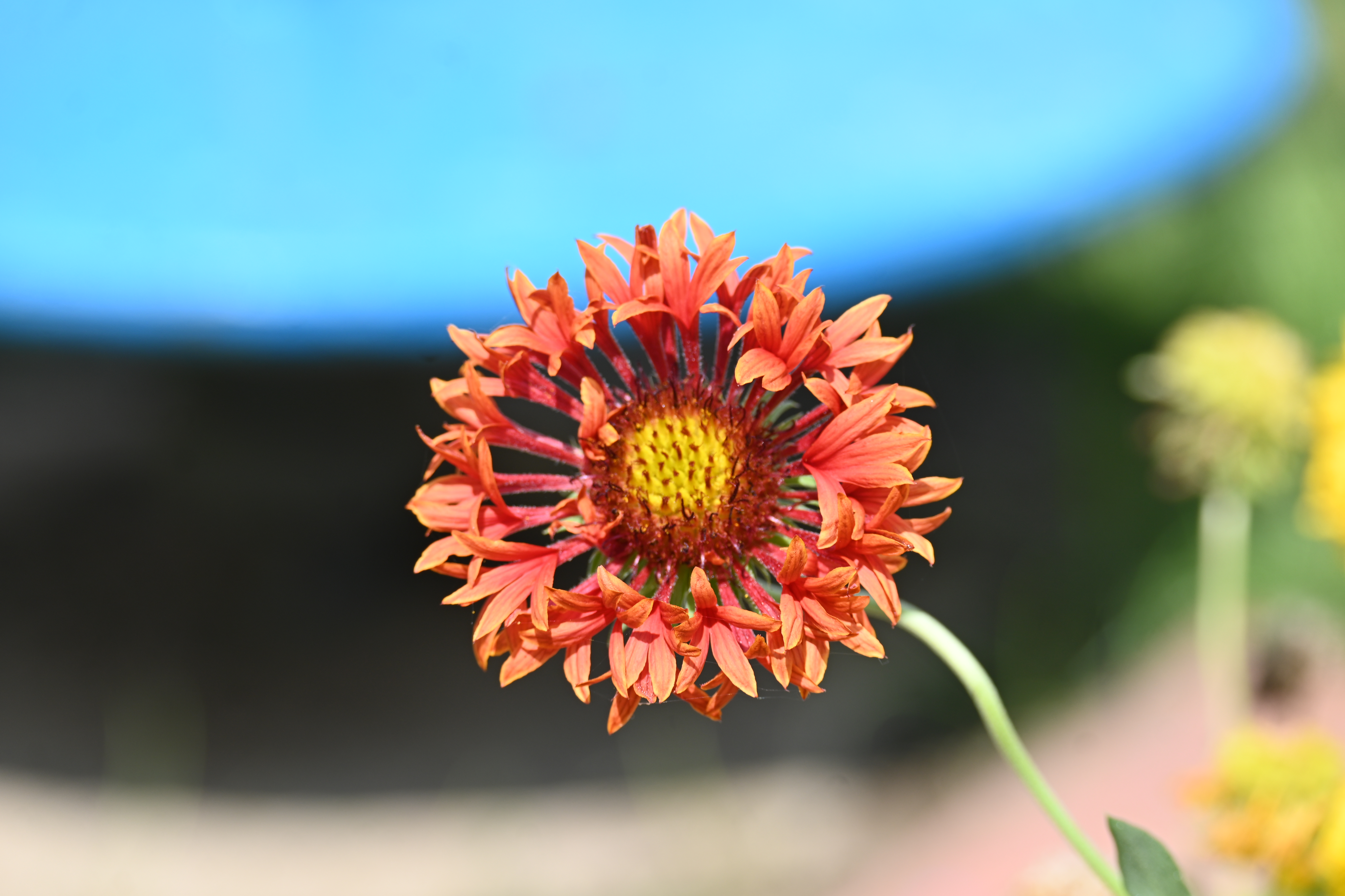 Commercial photography