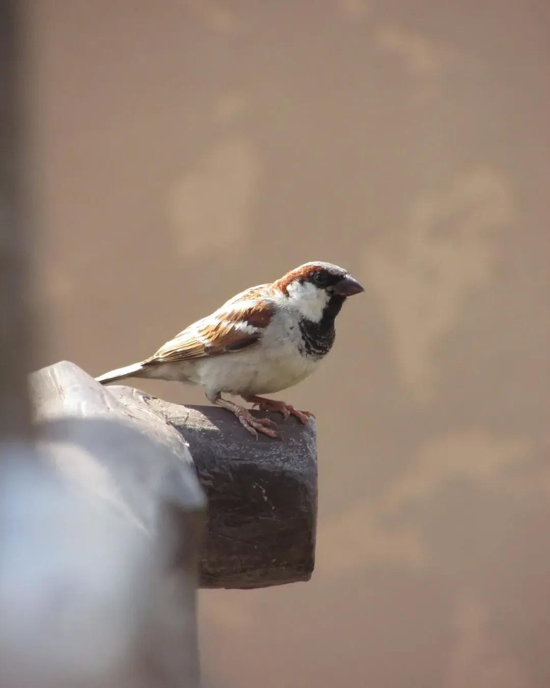 Creative composition